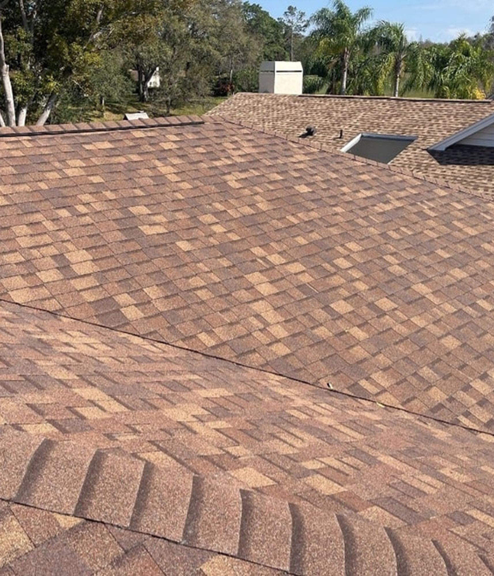 Leading Roofing Company in Dunedin