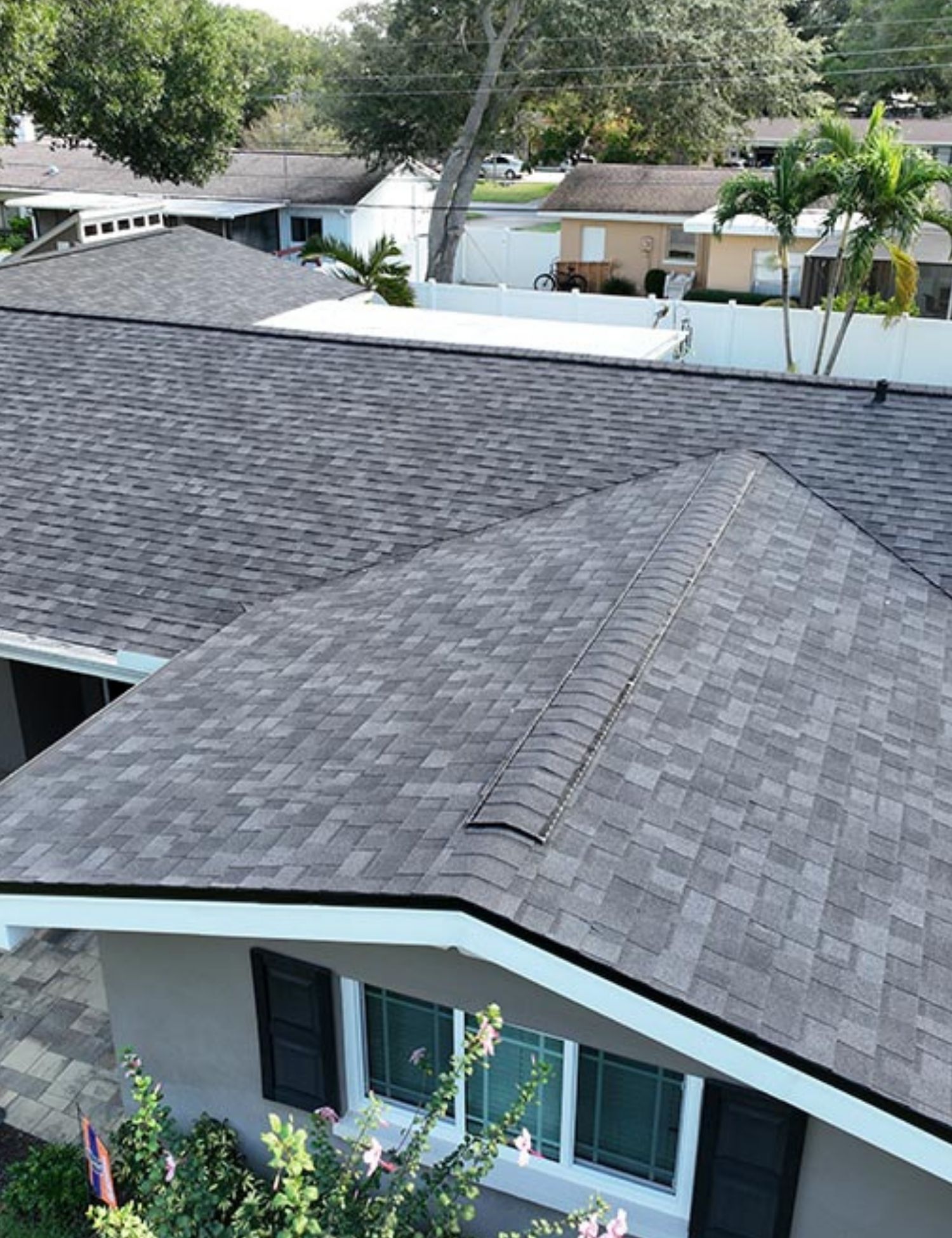 Shingle Roofing in Hillsborough County