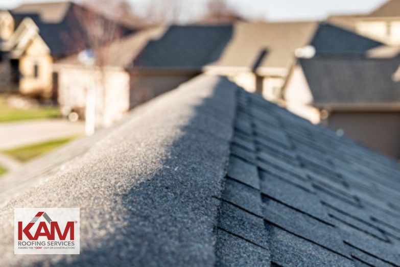 Shingle Granule Loss: Causes and Prevention